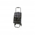 Тележка багажная D203ECO(002250) Рыжий кот "Tartan" м. вес-30кг. с сумк. пласт. кол. метал.
