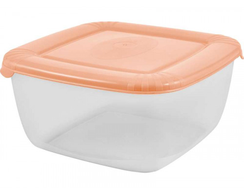 Контейнер для хранения продуктов Plast team POLAR PT1676 1,5л квадрат. с крыш. пластик