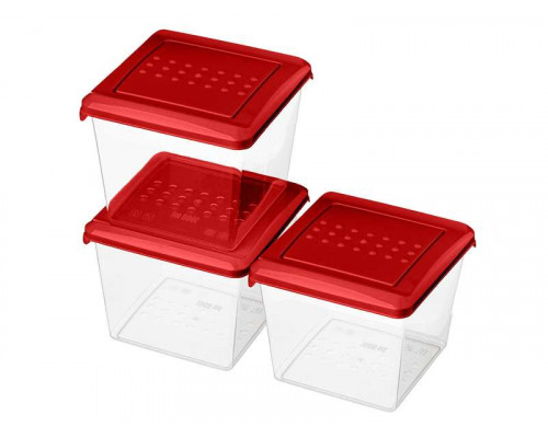 Контейнеры для продуктов набор Asti 221101206/03 3пр 1л  пластик красный