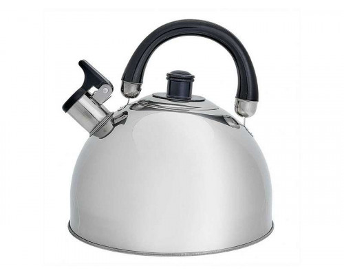 Чайник WEBBER BE-0528 4,5л нерж сталь свисток серебристый