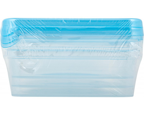 Контейнеры для заморозки набор Sugar&Spice DELTA SE102812044 3пр 0,9л  пластик