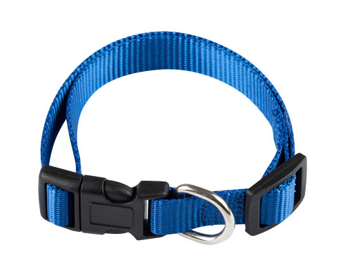 Ошейник с застежкой, размер М, 33-40 см