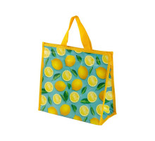 Термосумка Fruits CB-89, ~12л, р-р: 30*15*28см