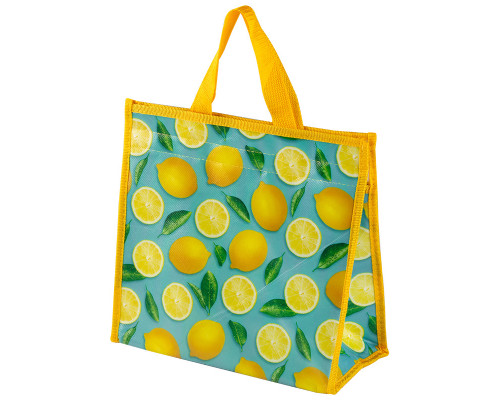Термосумка Fruits CB-89, ~12л, р-р: 30*15*28см