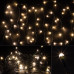 Электрогирлянда светодиодная  LED30-3-WW