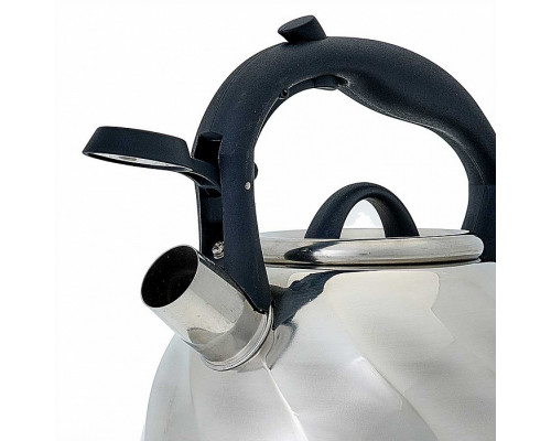Чайник Webber BE-0525 3л нерж сталь серебристый