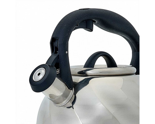 Чайник Webber BE-0525 3л нерж сталь серебристый
