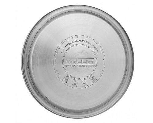 Чайник Webber BE-0525 3л нерж сталь серебристый