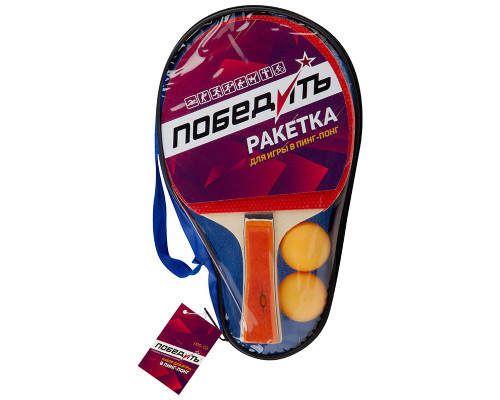 Набор для игры в пинг-понг  PPS-03 в сумочке