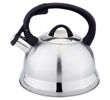 WEBBER BE-0554 Чайник из нерж.стали,2,5л,сатин + зеркал(12)