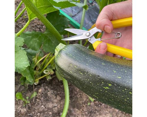 Ножницы садовые. Размер 5,5х19см