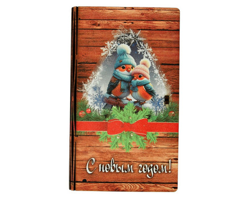 Конверт для денег "С Новым годом!" (вертикльн.). Размер 17х10х1,5 см NEW