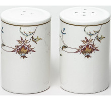 ЛАТОНА ПЕРСИЯ, набор д/специй - солонка + перечница,80мм, NEW BONE CHINA, цветная упаковка