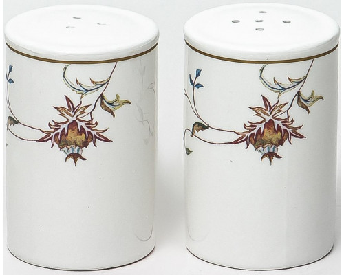 ЛАТОНА ПЕРСИЯ, набор д/специй - солонка + перечница,80мм, NEW BONE CHINA, цветная упаковка