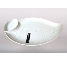 Блюдо сервировочное 40х24.5см с соусницей Коралл  9092  фарфор