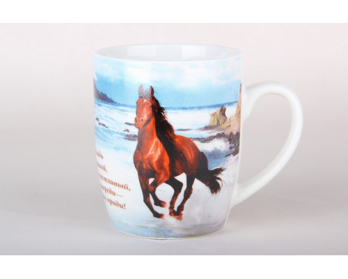 Кружка 400мл Коралл Пожелания N-37  фарфор